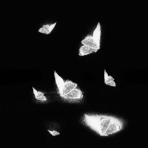 一级日本片免费的
